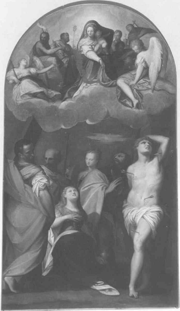 Madonna in gloria (dipinto) di India Bernardino (sec. XVI)