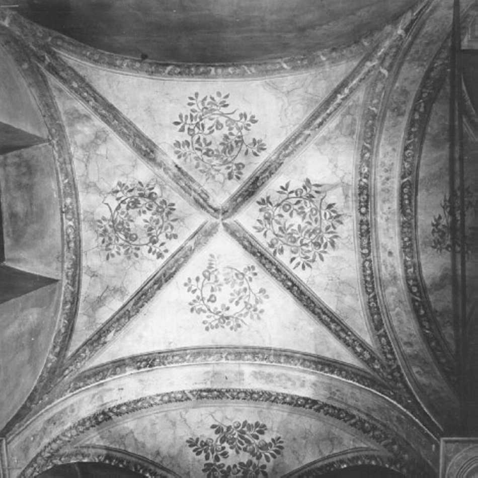 festone con frutti e nastri (dipinto) - ambito veronese (sec. XVI)