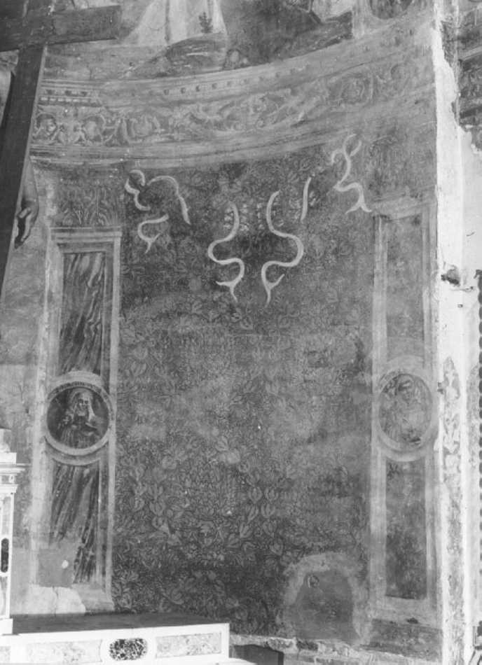 motivi decorativi a medaglioni (dipinto) di Dal Pozzo Daniele (sec. XVI)