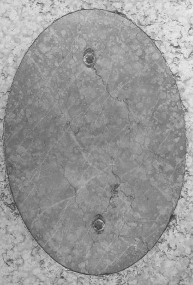 lastra tombale - ambito veneto (secc. XVII/ XVIII)