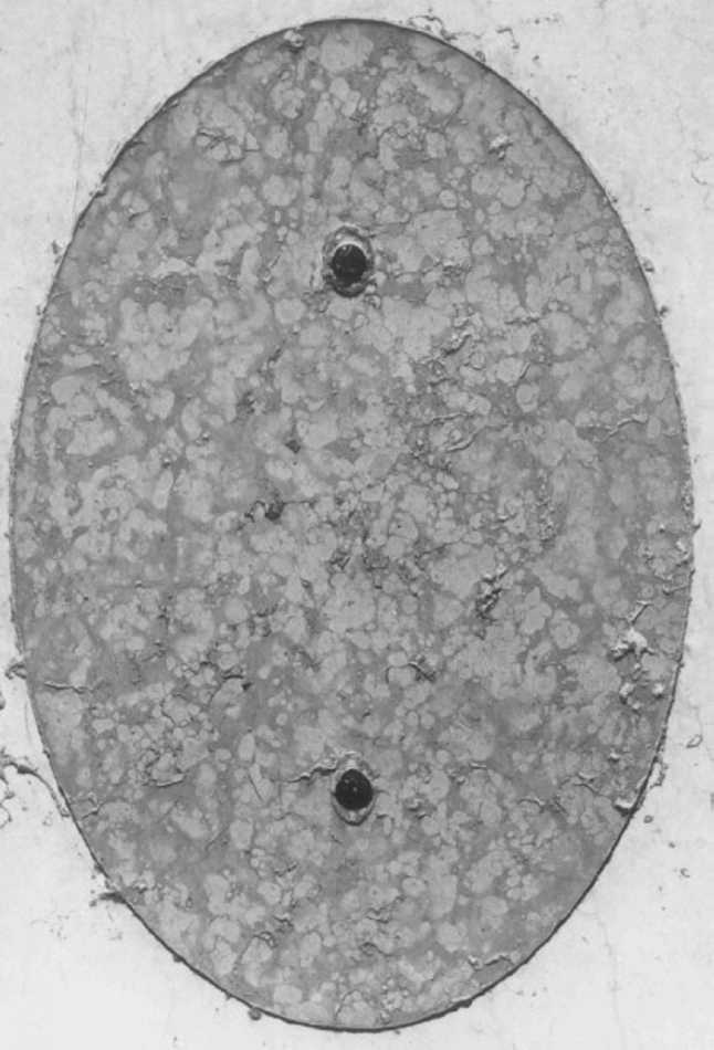 lastra tombale - ambito veneto (secc. XVII/ XVIII)