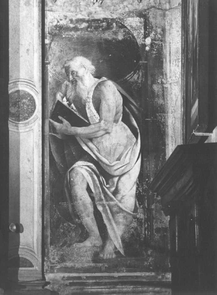 San Girolamo (dipinto) di Torbido Francesco detto Moro (sec. XVI)