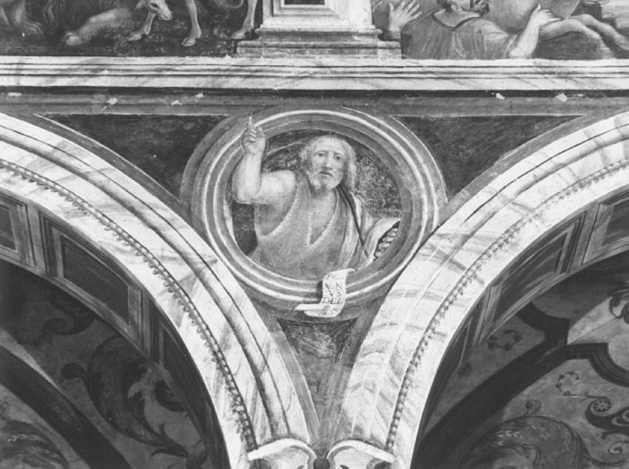 San Giovanni Battista (dipinto) di Giolfino Nicola (cerchia) (sec. XVI)