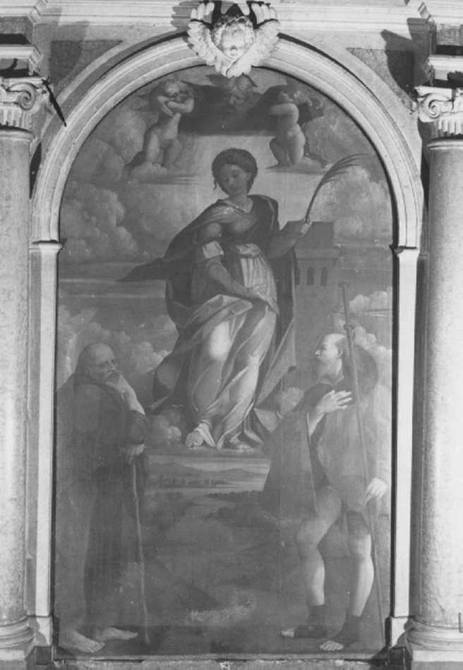 dipinto di Torbido Francesco detto Moro (e aiuti) (secondo quarto sec. XVI)