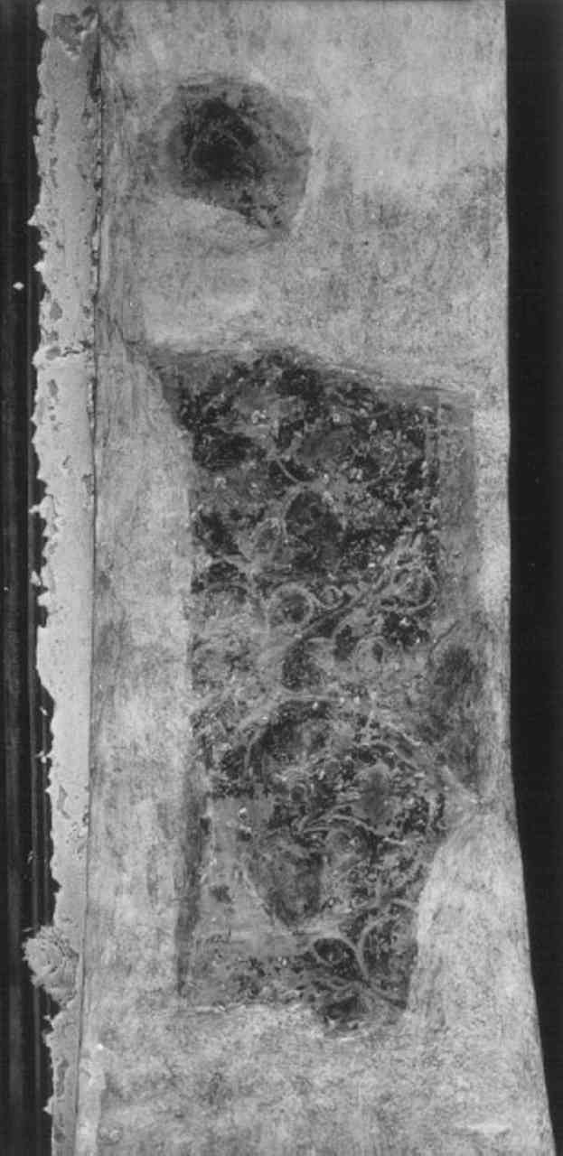motivi decorativi (dipinto, frammento) - ambito veneto (secc. XIV/ XV)