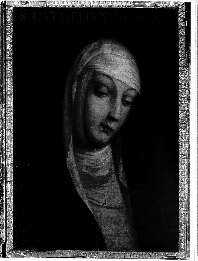 Santa Caterina da Siena (dipinto) di Riccio Felice detto Brusasorzi (attribuito) (secc. XVI/ XVII)