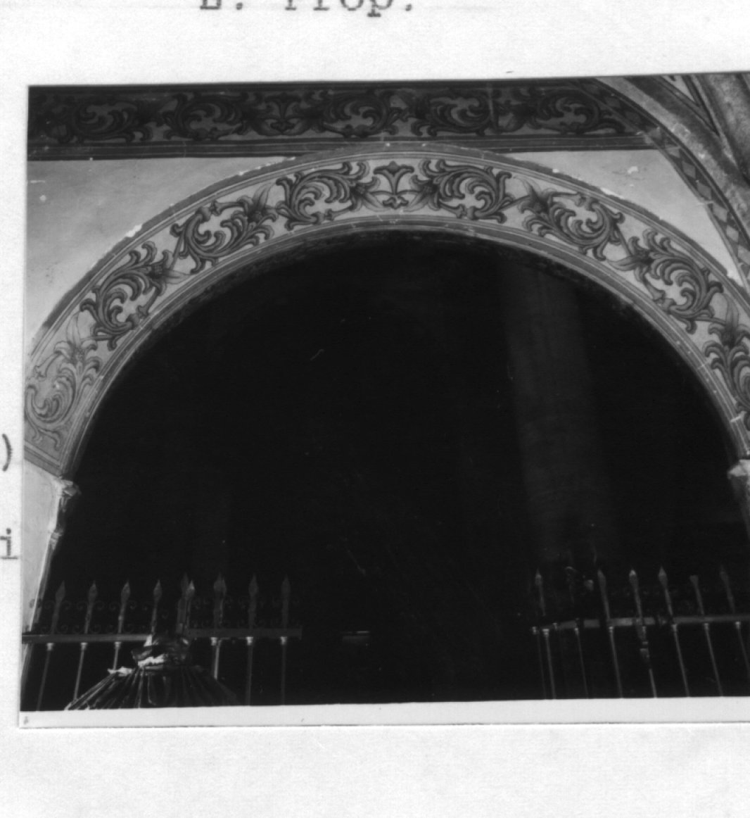 motivi decorativi vegetali stilizzati (dipinto) - ambito veneto (sec. XIX)