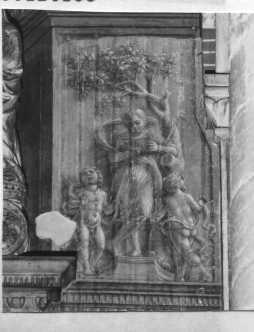 figura allegorica femminile (dipinto) di Liberale Da Verona (sec. XV)