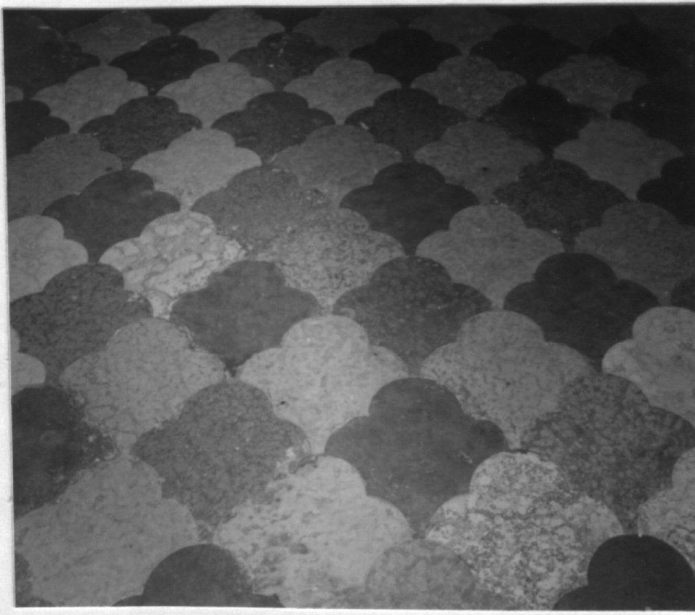 pavimento di Pietro da Porlezza (sec. XV)