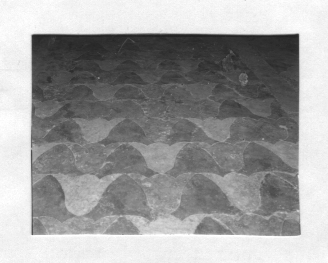 pavimento di Pietro da Porlezza (sec. XV)