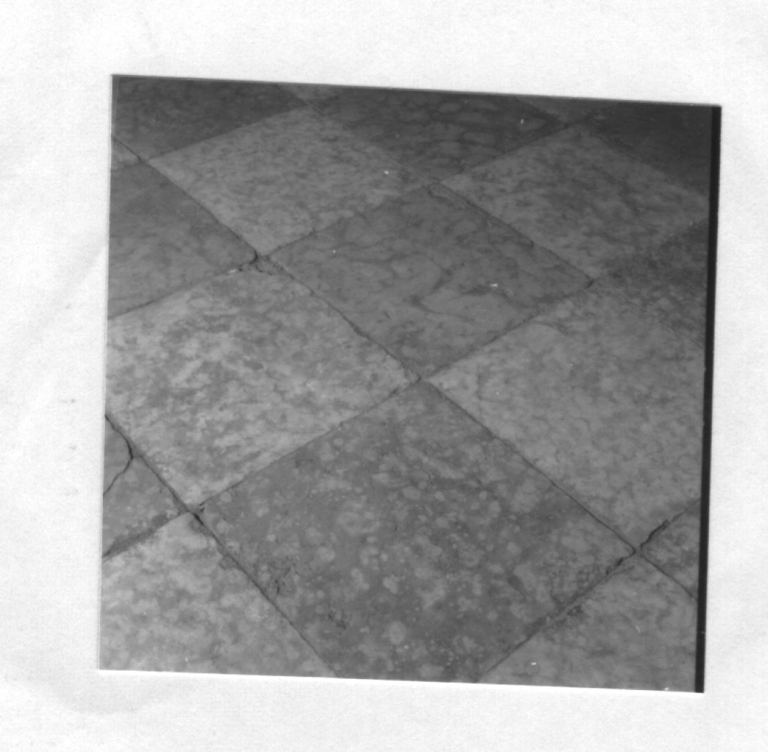 pavimento, serie - ambito veneto (sec. XVI)