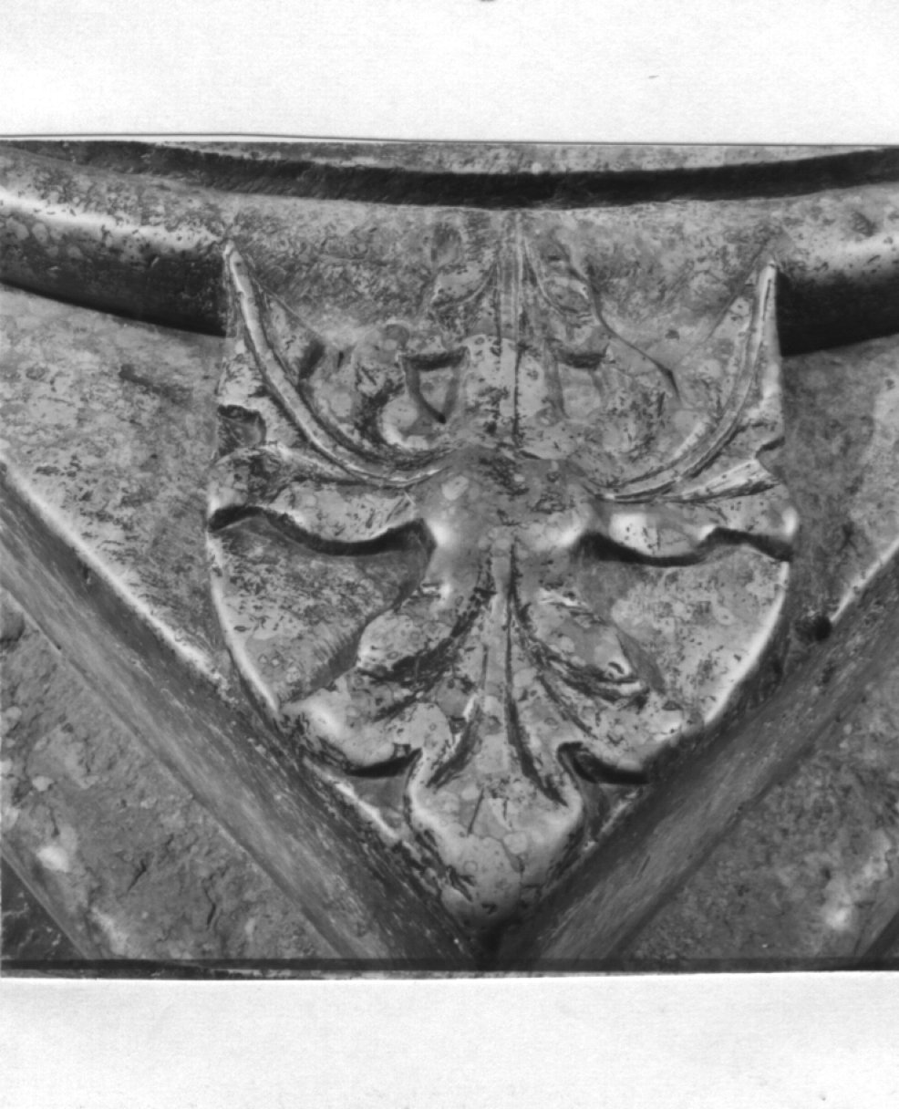 foglia d'acanto (rilievo, serie) - ambito veneto (sec. XV)