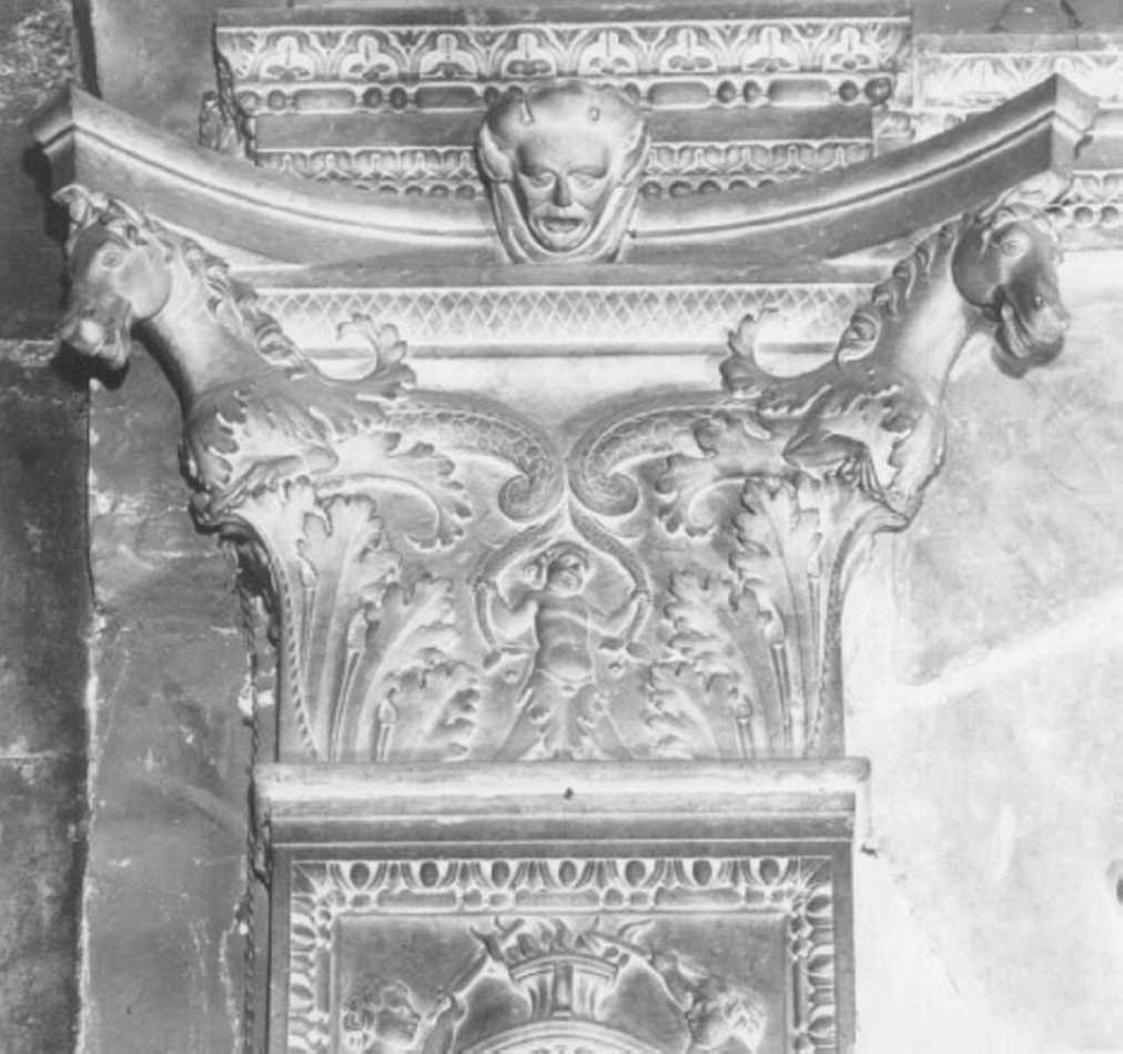 motivo decorativo fitomorfo (rilievo, serie) di Domenico Da Lugo (attribuito) (sec. XVI)