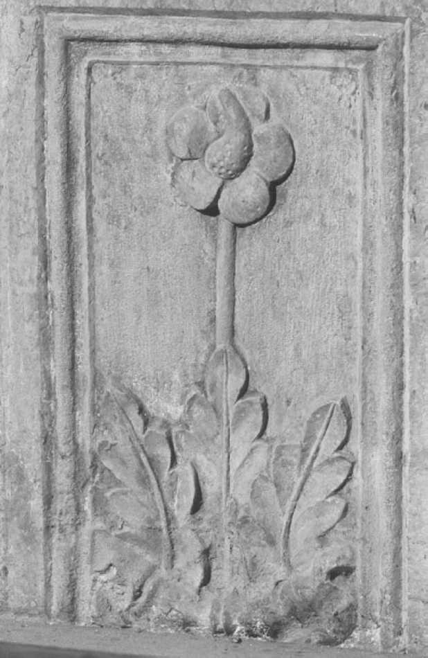 motivo decorativo fitomorfo (rilievo) - ambito veneto (sec. XV)