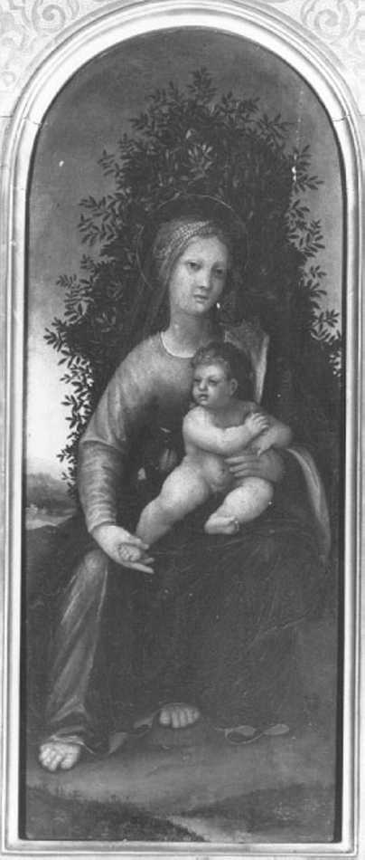 Madonna con Bambino (dipinto) - ambito veronese (sec. XVI)