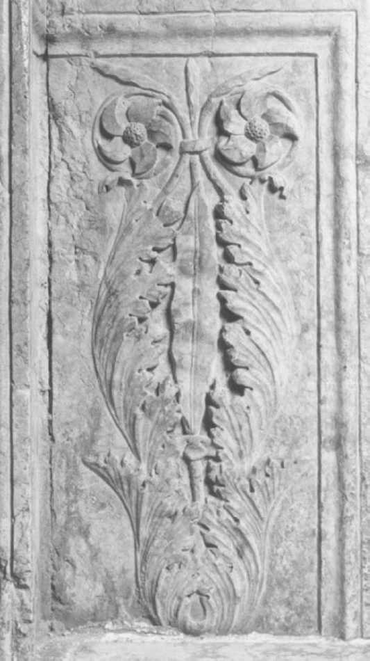 motivo decorativo fitomorfo (rilievo, elemento d'insieme) di Maestro Modesto (attribuito) (secc. XV/ XVI)