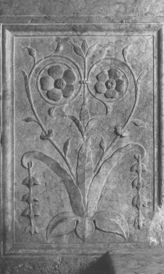 motivo decorativo fitomorfo (rilievo, elemento d'insieme) di Maestro Modesto (attribuito) (secc. XV/ XVI)