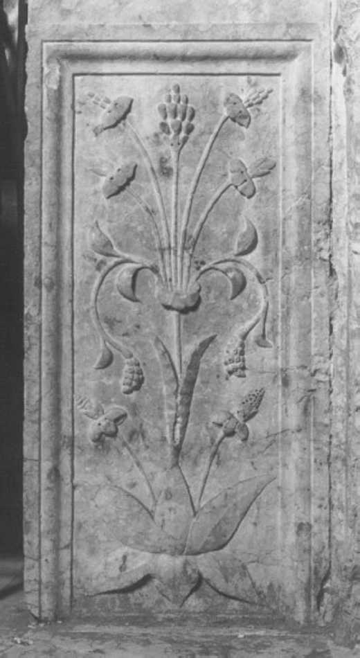 motivo decorativo fitomorfo (rilievo, elemento d'insieme) di Maestro Modesto (attribuito) (secc. XV/ XVI)