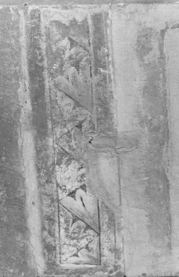 motivi decorativi (dipinto) - ambito veronese (fine/inizio secc. XIII/ XIV)