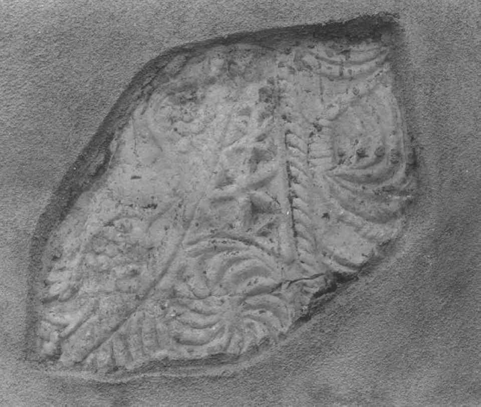 motivi decorativi vegetali (rilievo, serie) - ambito veronese (sec. IX)