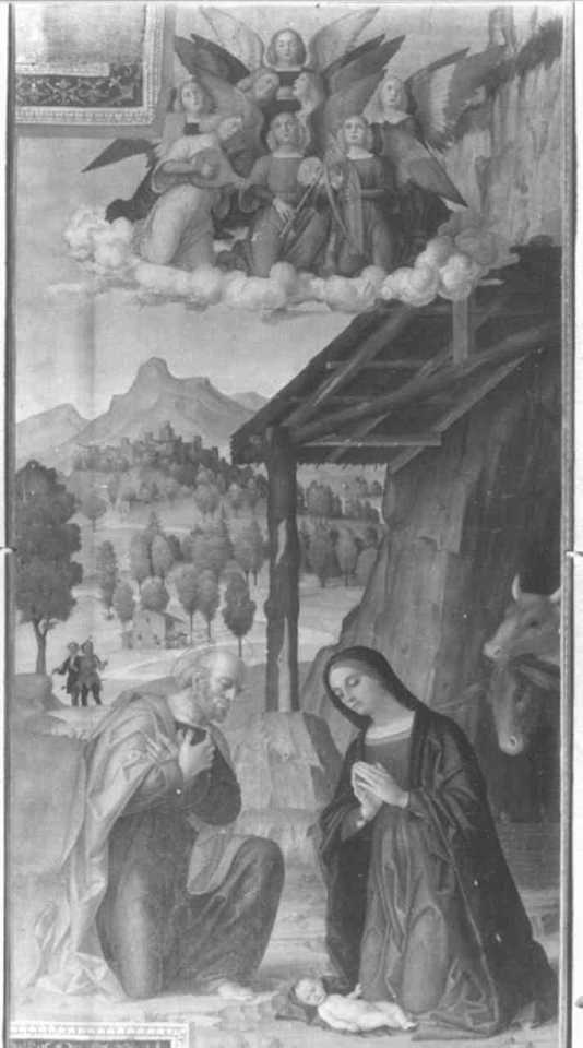 natività di Gesù (dipinto) di Girolamo dai Libri (sec. XVI)