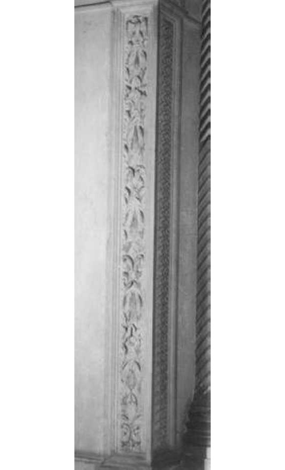 Rameggi d'ulivo e uccelli (lesena) di Sanmicheli Michele, Sanmicheli Paolo detto Paolo da Porlezza (sec. XVI)