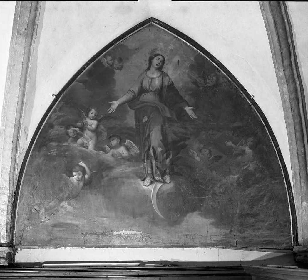 Immacolata Concezione (dipinto) di Voltolini Andrea (secc. XVII/ XVIII)