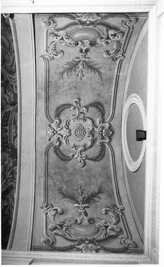 motivi decorativi vegetali (dipinto, elemento d'insieme) di Zanoni Antonio (attribuito) (sec. XVIII)