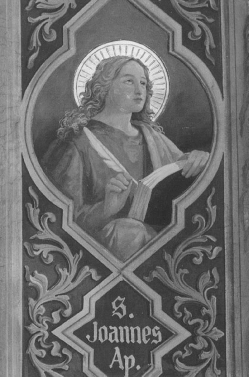 San Giovanni Evangelista (dipinto) di Alpago Demetrio (sec. XX)