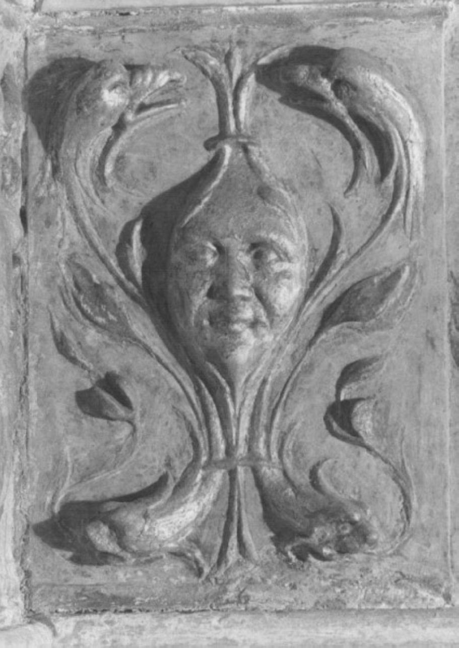 motivi decorativi a grottesche (rilievo) di Giovanni Di Giacomo Da Porlezza (attribuito) (sec. XVI)
