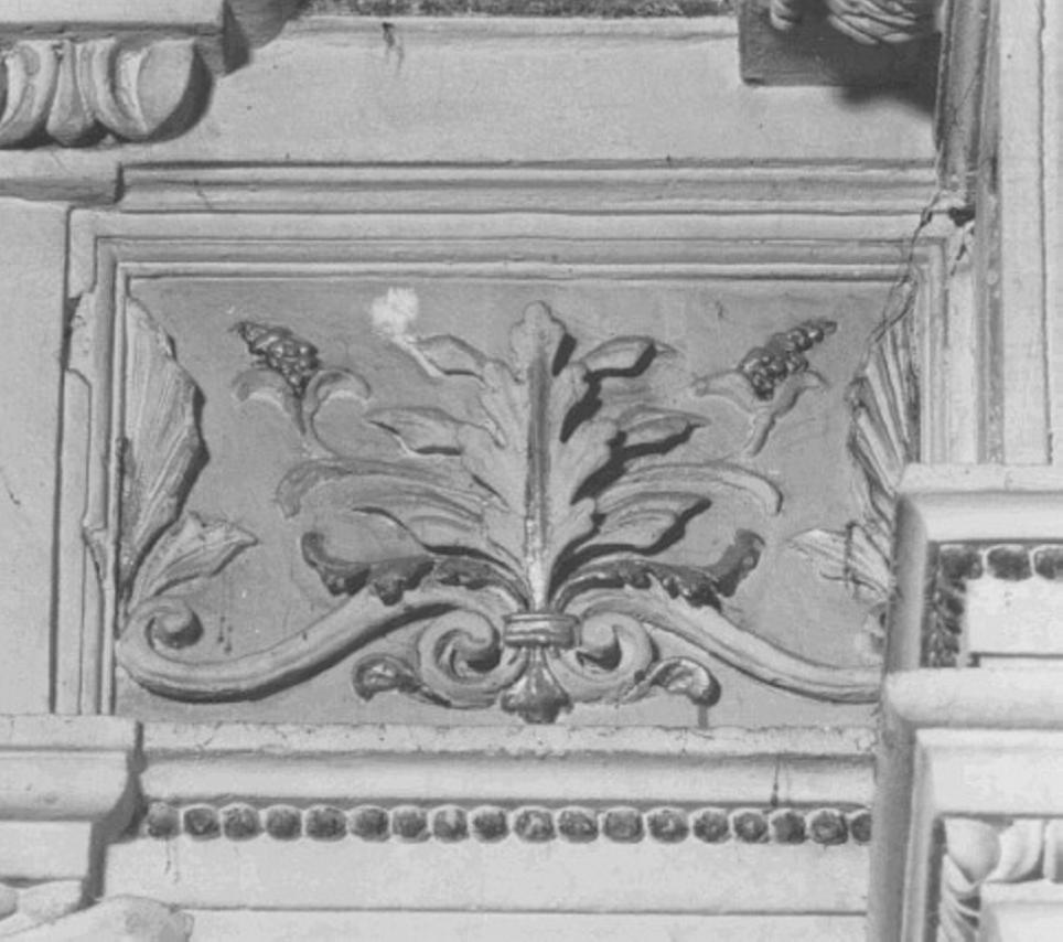 motivi decorativi vegetali (rilievo) di Squarise Francesco (attribuito), Piva Luigi (attribuito) (sec. XIX)