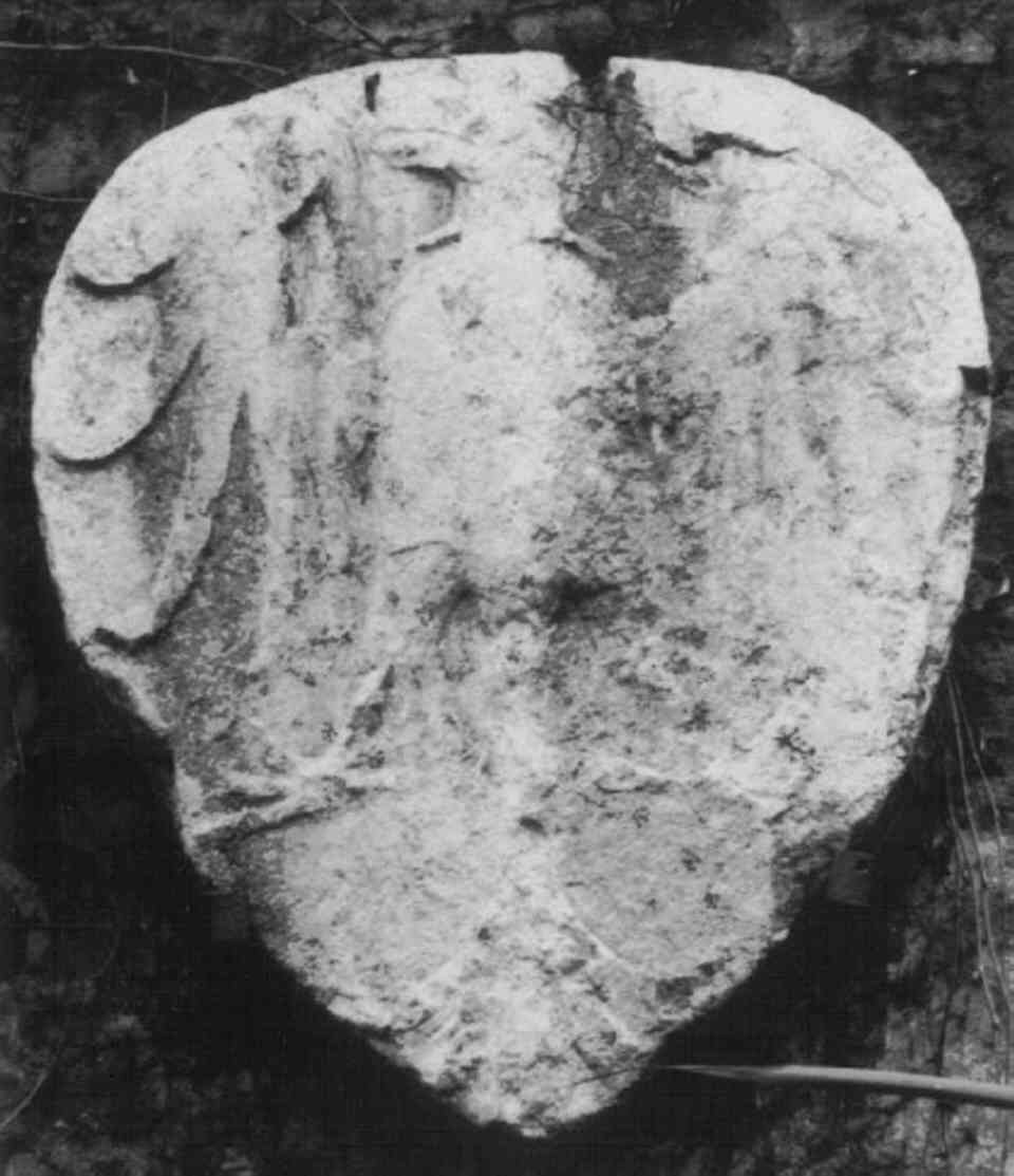 stemma (rilievo) - bottega veneta (sec. XV)