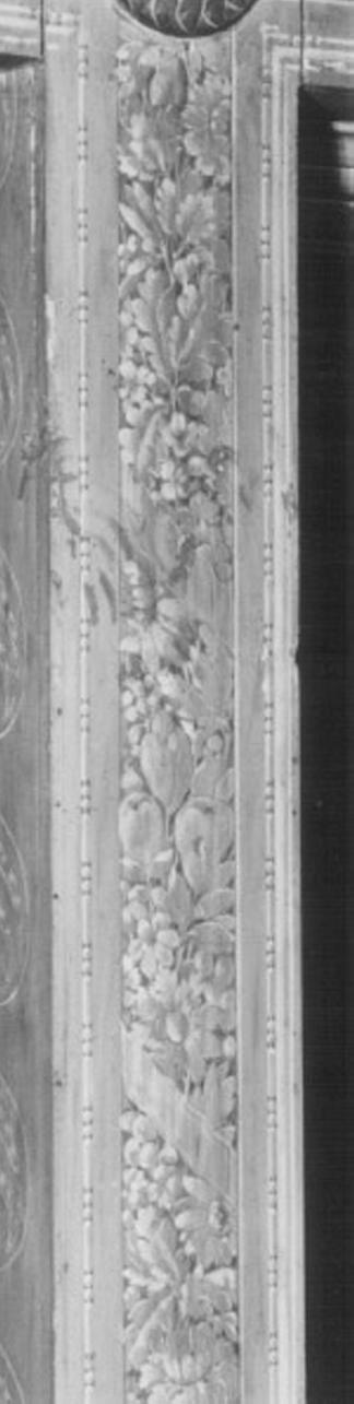 motivi decorativi vegetali (dipinto) di Ciesa Giacomo (maniera) (sec. XVIII)