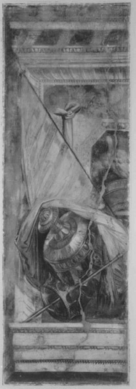 motivo decorativo (dipinto) di Fasolo Giovanni Antonio (sec. XVI)