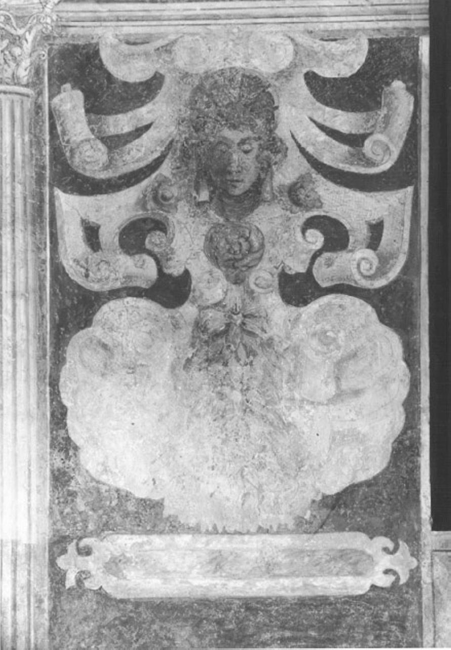 motivi decorativi (dipinto) - ambito vicentino (sec. XVII)