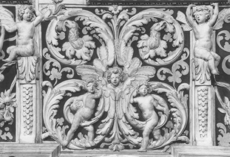 motivi decorativi vegetali con putti alati (decorazione plastica, elemento d'insieme) di Viseto Rinaldo (sec. XVII)