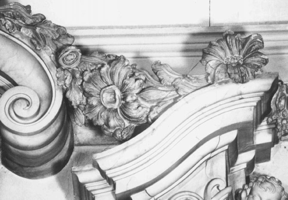 motivi decorativi vegetali (decorazione plastica, serie) di Pagani Carlo (attribuito) (sec. XVIII)