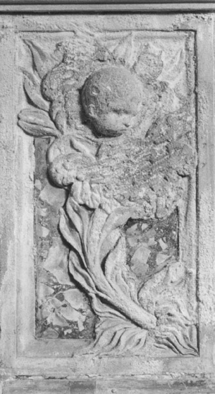 testa alata (rilievo, serie) di Pizzocaro Antonio (cerchia) (sec. XVII)
