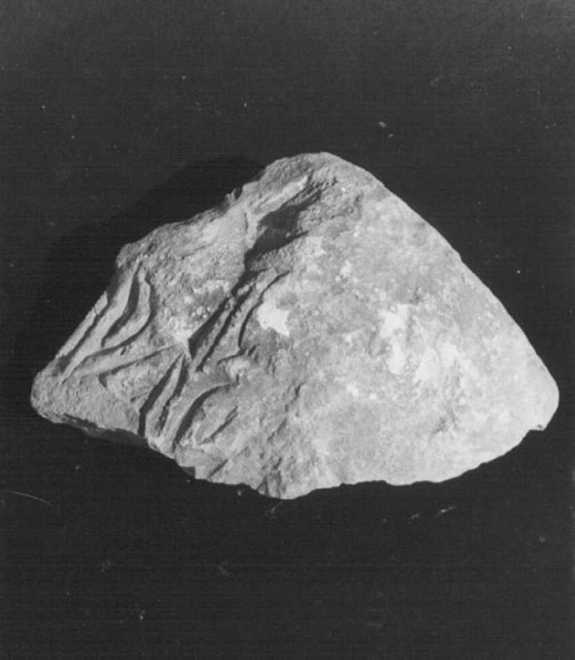 rilievo, frammento - ambito vicentino (secc. VII/ VIII)