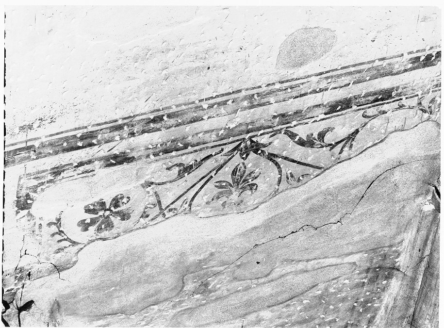 motivi decorativi vegetali (dipinto, frammento) - ambito veneto (sec. XIV)