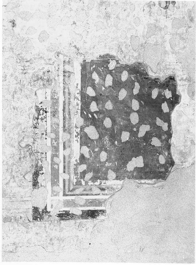 dipinto, frammento - ambito veneto (sec. XIV)