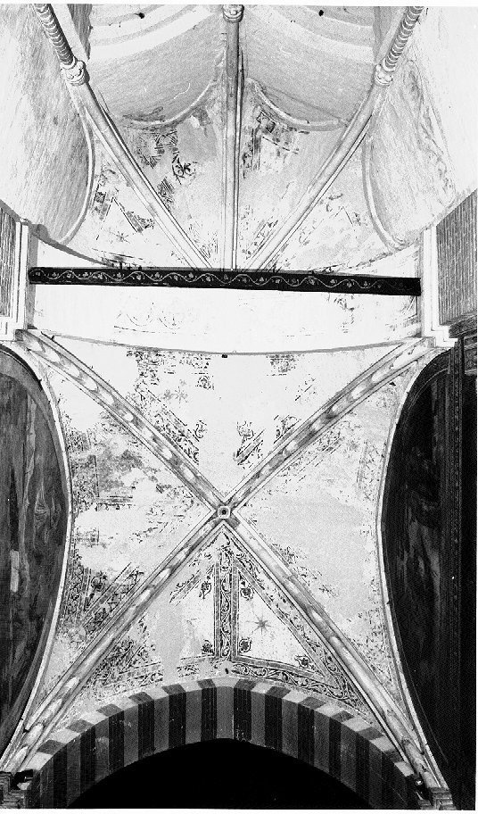 motivi decorativi vegetali (dipinto) - ambito veneto (secc. XIII/ XIV)