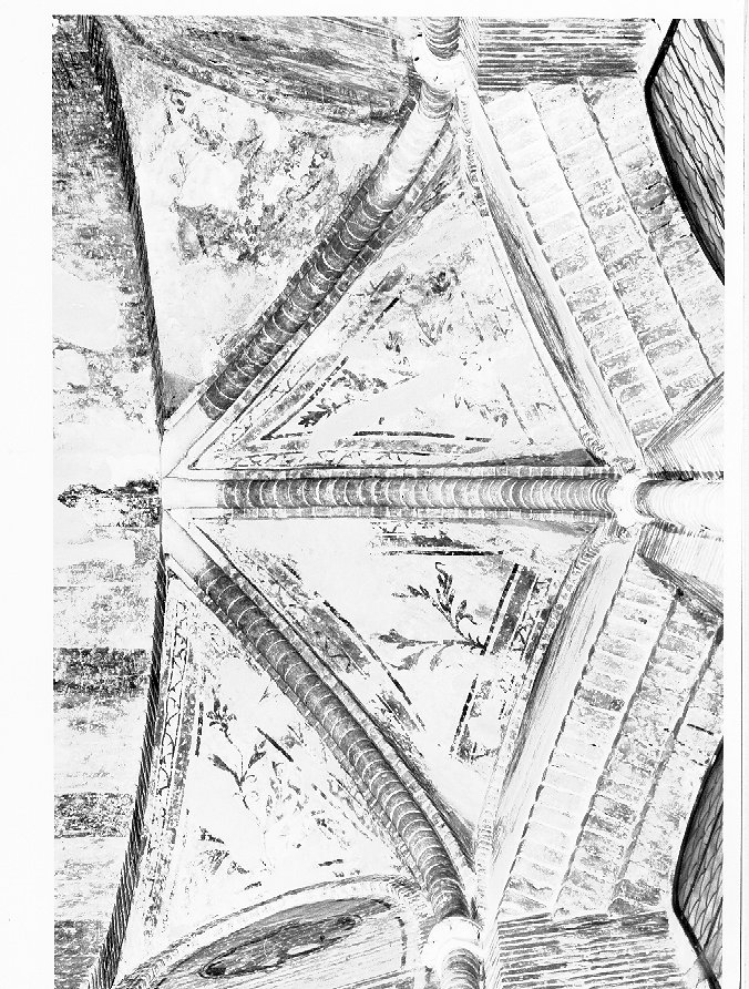 Motivo decorativo vegetale (dipinto) - ambito veneto (sec. XIV)