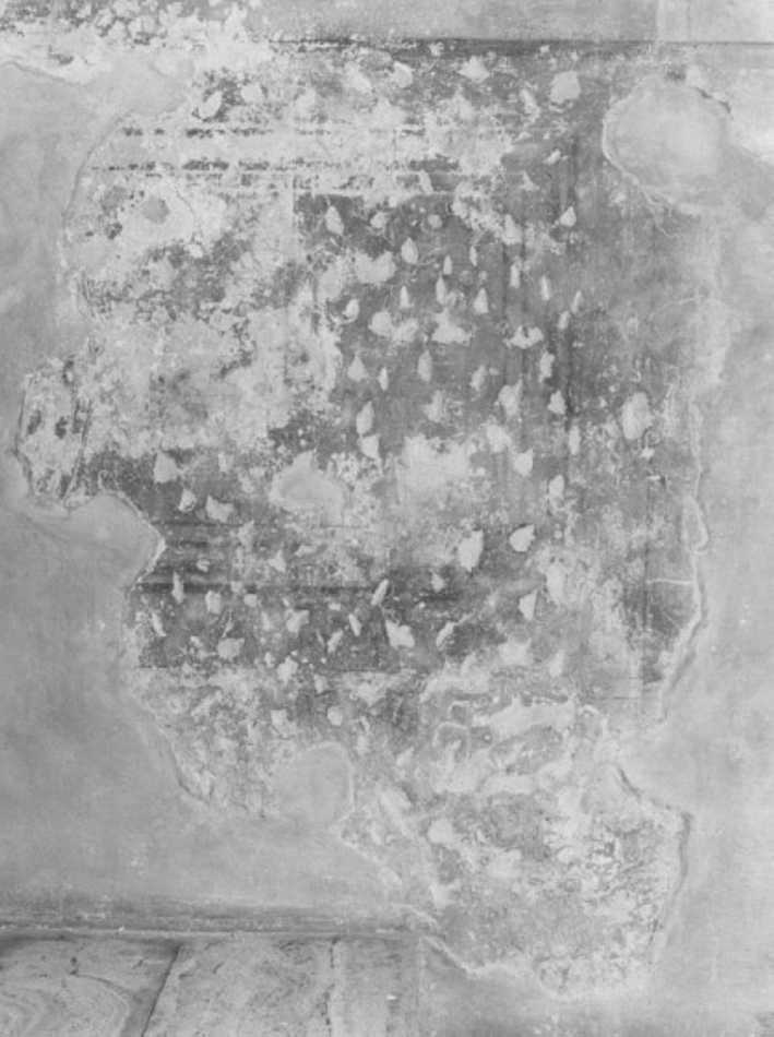 dipinto, frammento di Farinati Paolo (sec. XVI)
