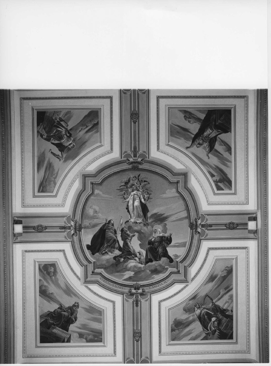 Madonna Immacolata e personaggi sacri (soffitto dipinto, ciclo) di Pegrassi Agostino (sec. XX)