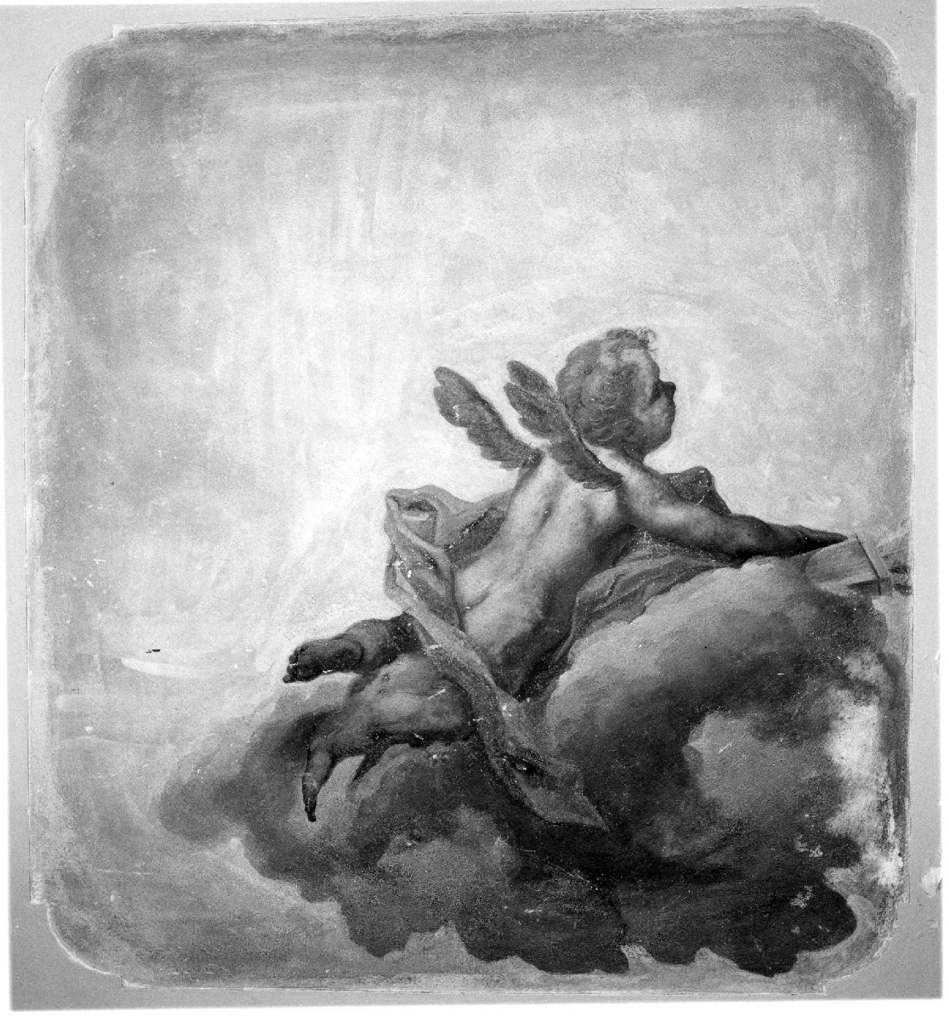 putto con frecce (soffitto dipinto, elemento d'insieme) di Anselmi Giorgio (sec. XVIII)