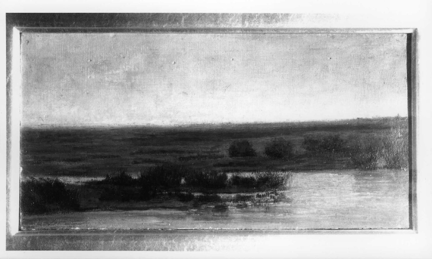 Palude, paesaggio (dipinto) di Costa Giovanni (fine sec. XIX)