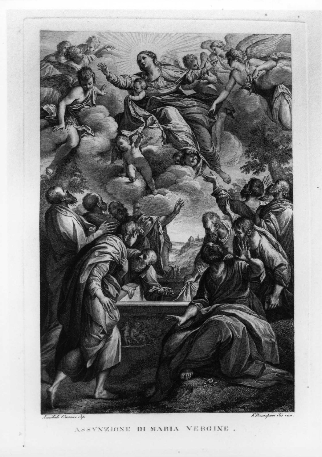 Assunzione della Vergine, assunzione della Madonna (stampa, serie) di Rosaspina Francesco, Carracci Annibale (sec. XIX)