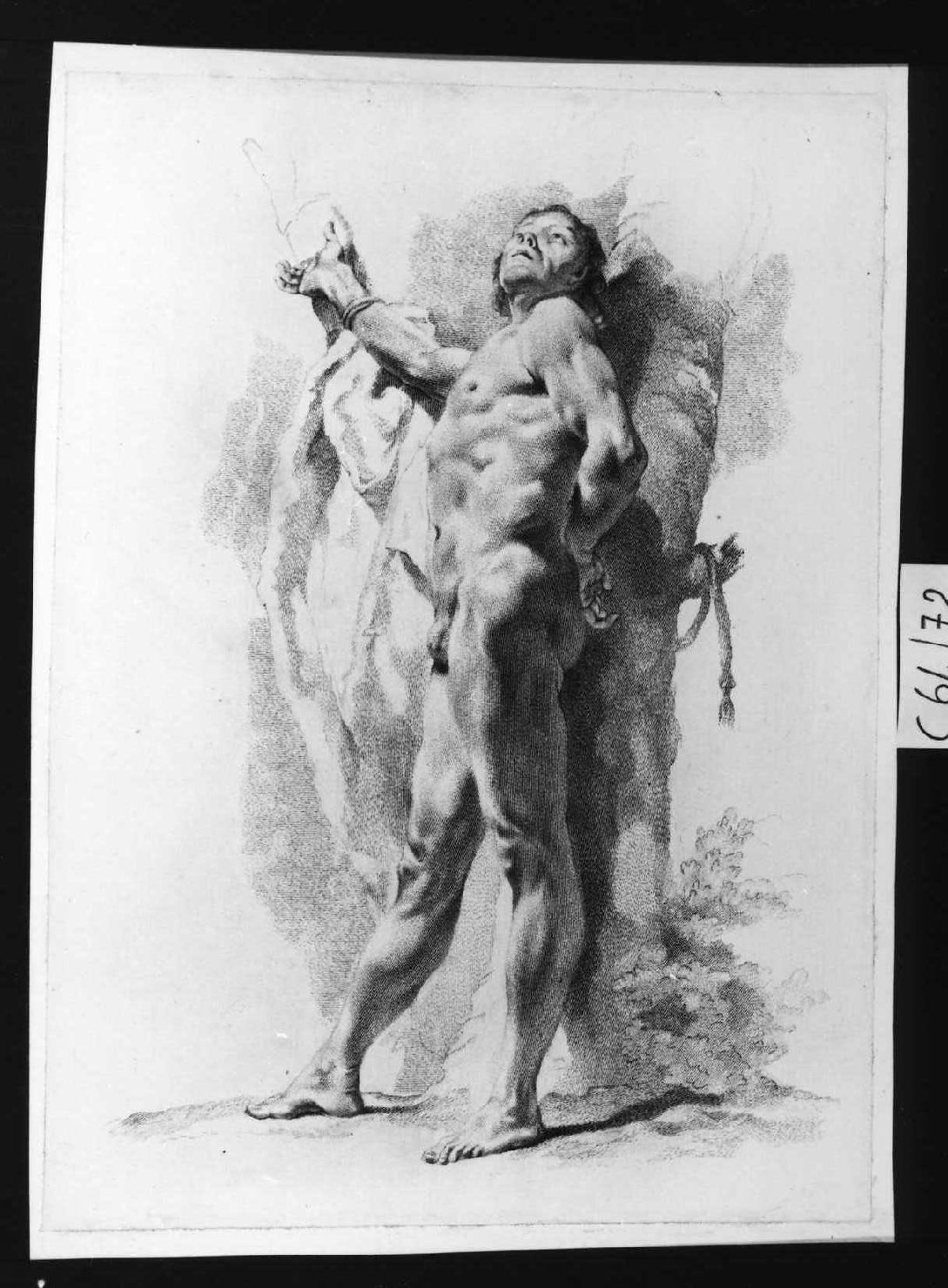 Studio per San Sebastiano, giovane nudo (stampa smarginata, serie) di Piazzetta Giovanni Battista, Pitteri Marco Alvise (sec. XVIII)