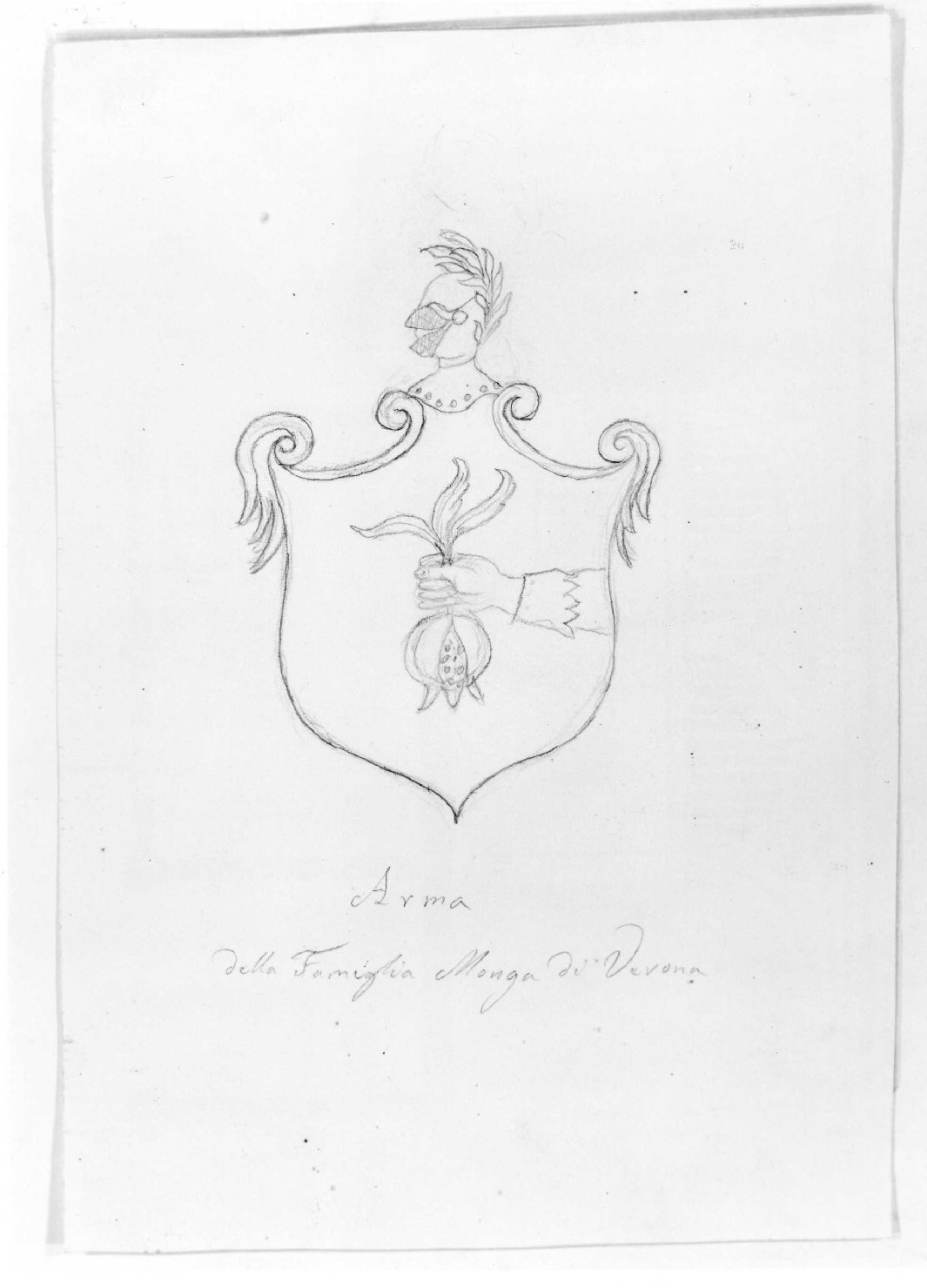 prospetto e pianta di edificio (disegno) di Monga Andrea (sec. XIX)